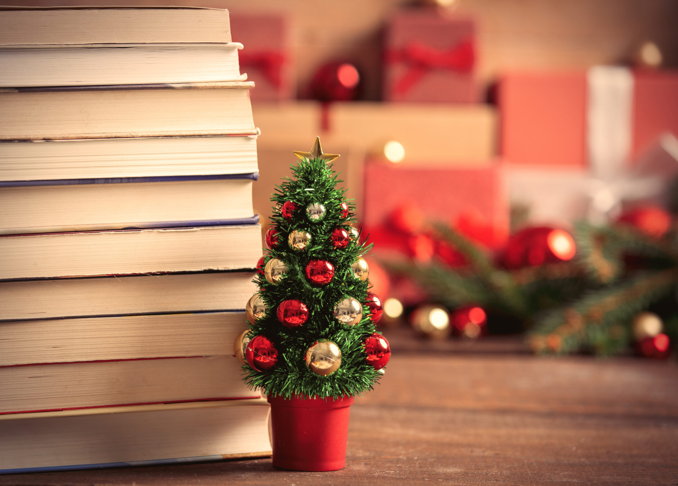 5 Livros encantadores para ler no natal e entrar no clima festivo